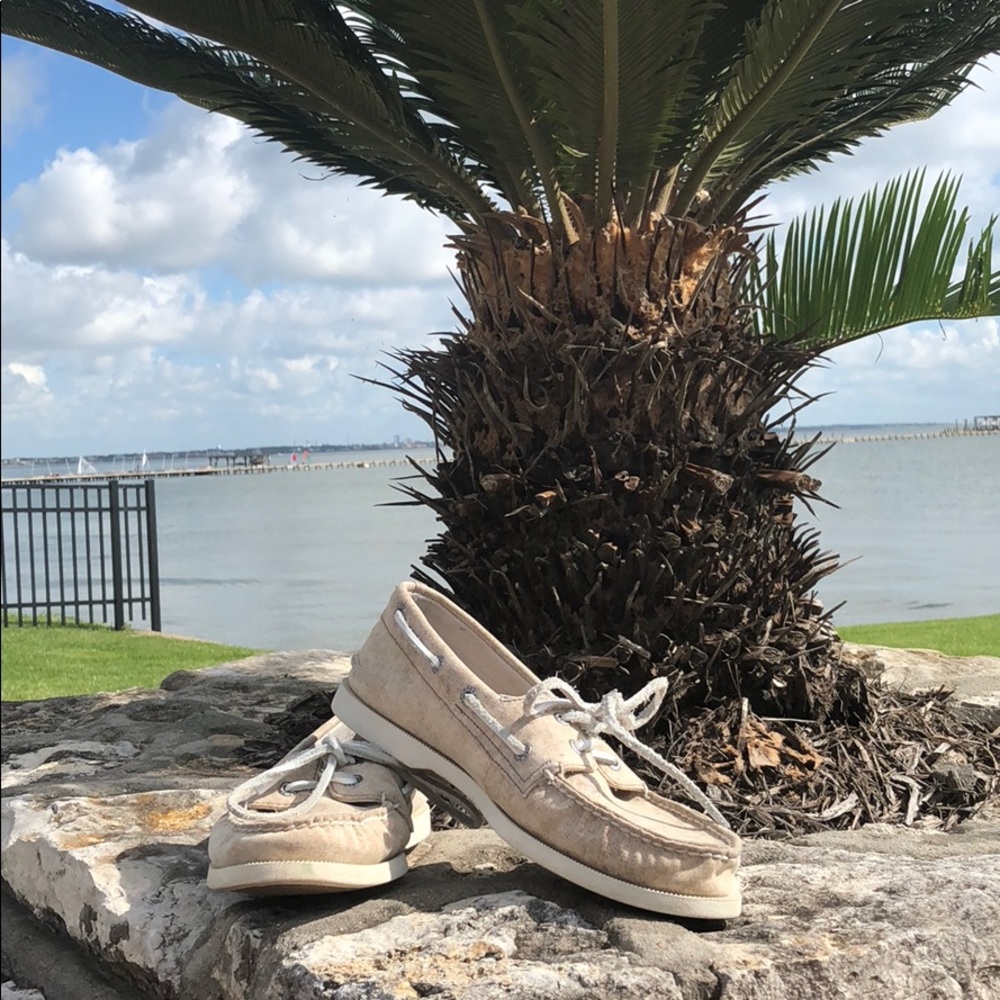 Men’s Sperry topside size 8M